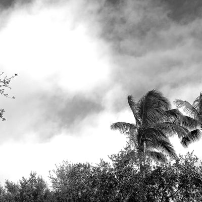 the edge of tomorrow